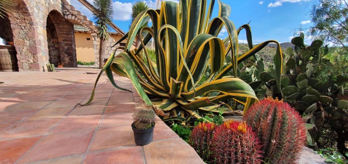Hotel Rincon Magico Catorce Экстерьер фото